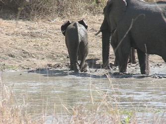 Inside X Factor star Saara Aaltohas birthday bash Inside X Factor star Saara Aaltohas birthday bash