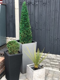 GENIUS MUM USES GREEN SPRAY PAINT TO BRING HER DEAD PLANTS BACK TO LIFE