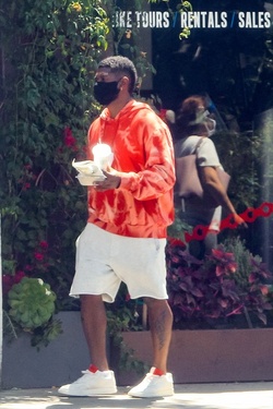Usher Dominic Adams Greer Grammer Michael Rapaport and Nicolette Gray Seen Around West Hollywood
