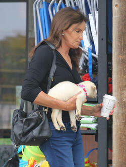Caitlyn Gets Cute Cuddly Companion
