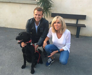 France gets First Dog Macron adopts labrador mix Nemo