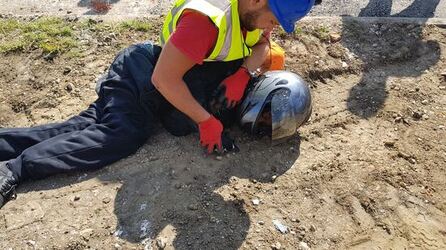 NINTCHDBPICT000350085358