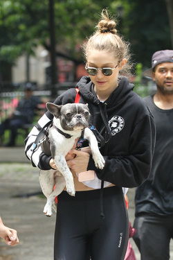 Gigi Hadid shows off her adorable French Bulldog and heads to the park
