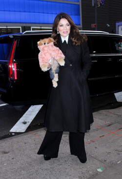 Lisa Vanderpump Stops by GMA to Promote Vanderpump Rules