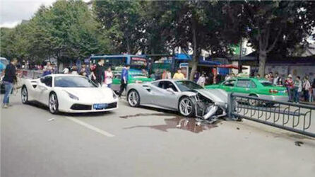 Ferrari Drivers Crash Trying To Dodge Wandering Dog Ferrari Drivers Crash Trying To Dodge Wandering Dog
