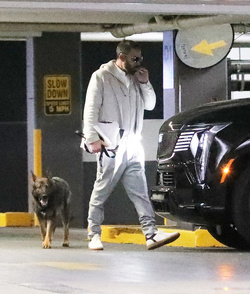 Ben Affleck Keeps Busy Amid House Hunt Arrives At Hollywood Office With Guard Dog Ben Affleck Keeps Busy Amid House Hunt Arrives At Hollywood Office With Guard Dog