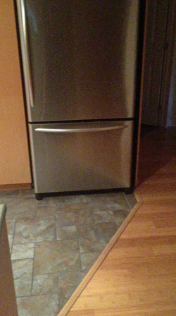 KETCHUP OR CATSUP CAT COOLS OFF BY CHILLING IN FRIDGE KETCHUP OR CATSUP CAT COOLS OFF BY CHILLING IN FRIDGE