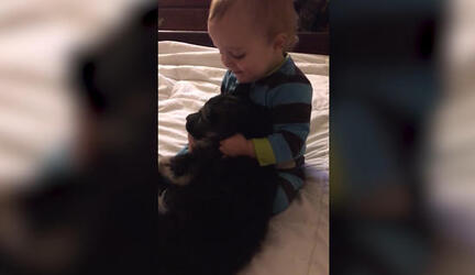 1 year Old Meets New Puppy