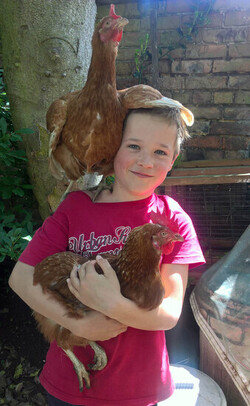 HEN LOVING BOY