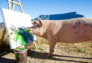 Pigcasso The Painting Pig