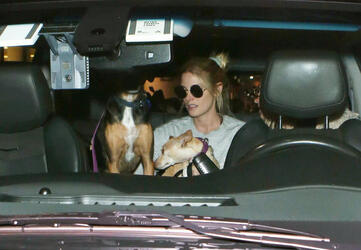 Ashley Greene and fiance take their dog on a plane