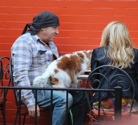 Steven Van Zandt has lunch in the West Village With his Dog