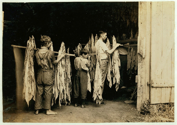 Last Child Labourers