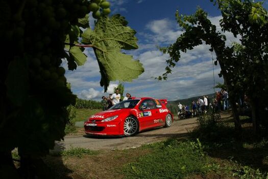 omv adac rallye deutschland 2004 omv adac rallye deutschland 2004