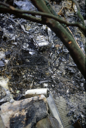 Henri Toivonen Story