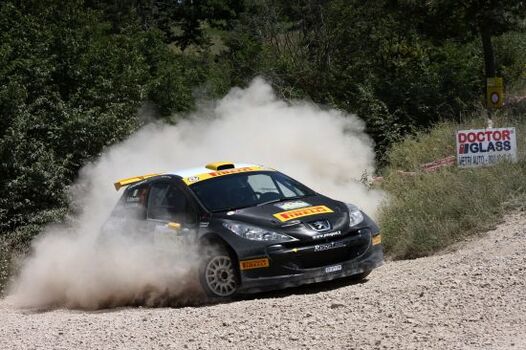 25&deg; Rally San Crispino Gubbio 28 30 06 2012
