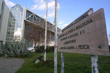 Universit&agrave; di BoDogna Dipartimento Biologia marina di Fano