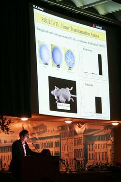 Giornate endocrinologiche pisane