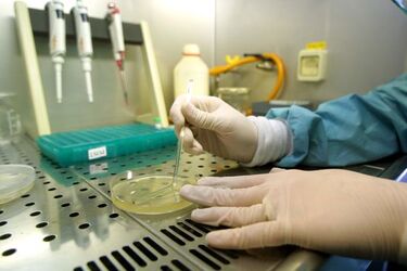 Analisi DNA FRancesco Petrarca