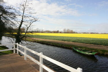 Keukenhof Olanda