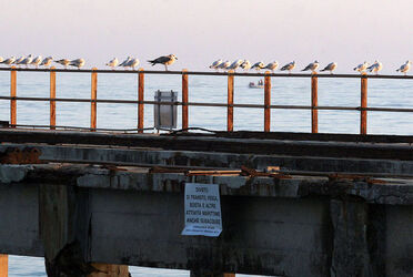 DEMOLIZIONE PONTE ASTURA