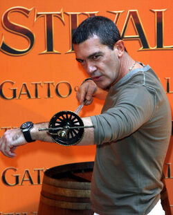 IL GATTO CON GLI STIVALI