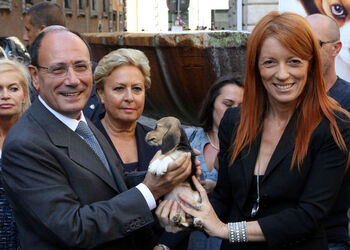 AFFIDO CUCCIOLI BEAGLE AFFIDO CUCCIOLI BEAGLE