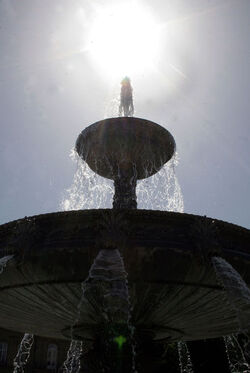 CALDO A STOCCARDA CALDO A STOCCARDA