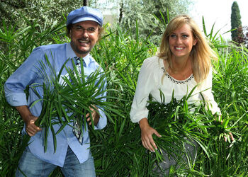 RAI LINEA VERDE ORIZZONTI RAI LINEA VERDE ORIZZONTI