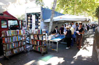VENDITA LIBRI USATI A LUNGOTEVERE OBERDAN