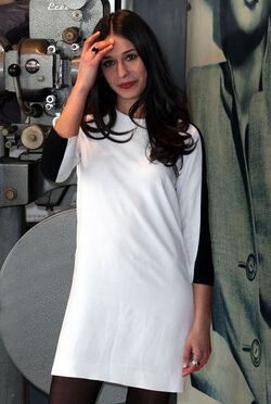 IL COMMISSARIO MONTALBANO IL COMMISSARIO MONTALBANO