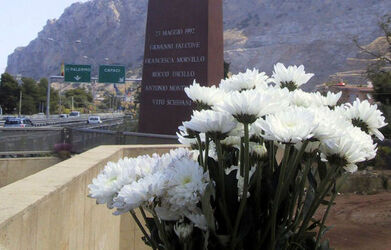 ALBERO IN RICORDO DI GIOVANNI FALCONE