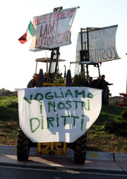 MANIFESTAZIOINE AGRICOLTORI MANIFESTAZIOINE AGRICOLTORI