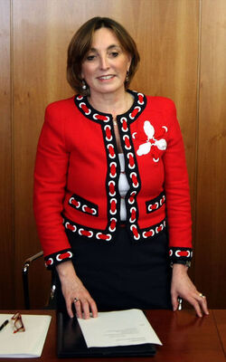 NUOVO DIRETTORE GENERALE RAI