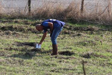 AEREO PRECIPITATO SU SFASCIACARROZZE