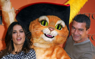 IL GATTO CON GLI STIVALI