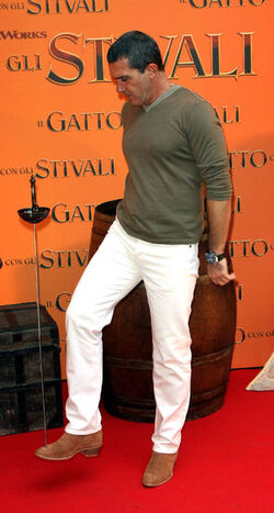 IL GATTO CON GLI STIVALI