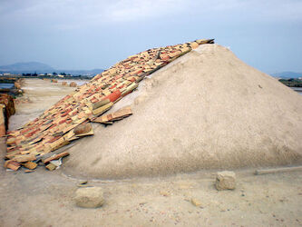 TRAPANI SALINE