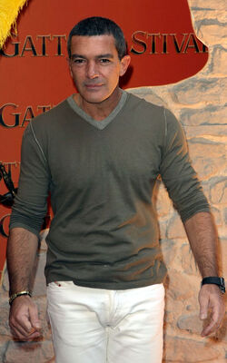 IL GATTO CON GLI STIVALI