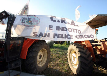 MANIFESTAZIOINE AGRICOLTORI MANIFESTAZIOINE AGRICOLTORI