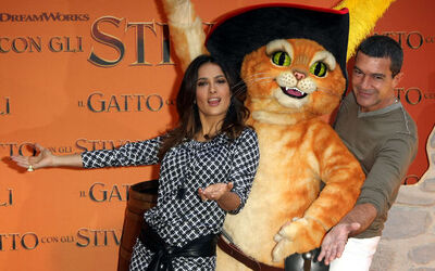 IL GATTO CON GLI STIVALI