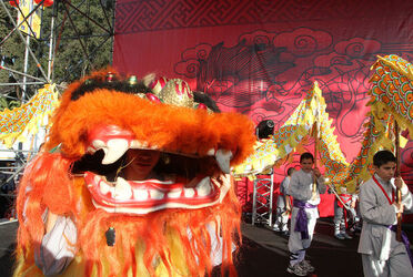 CAPODANNO CINESE L ANNO DEL DRAGONE