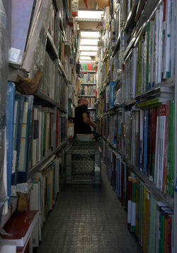 VENDITA LIBRI USATI A LUNGOTEVERE OBERDAN