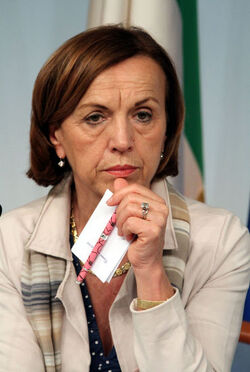 PRESENTAZIONE PIANO SOCIALE PER IL SUD PRESENTAZIONE PIANO SOCIALE PER IL SUD