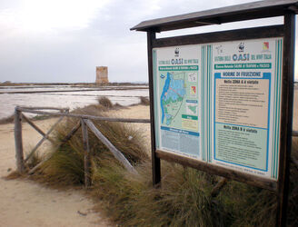 TRAPANI SALINE