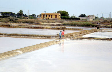 TRAPANI SALINE