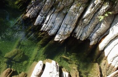 Geoparco escursione al Parco della Breggia