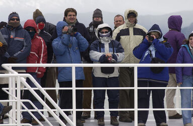Viaggio in Argentina Los Glaciales