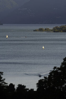 Tenero veduta lago Maggiore