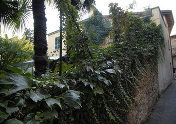 Cassina d Agno casa Bignasca